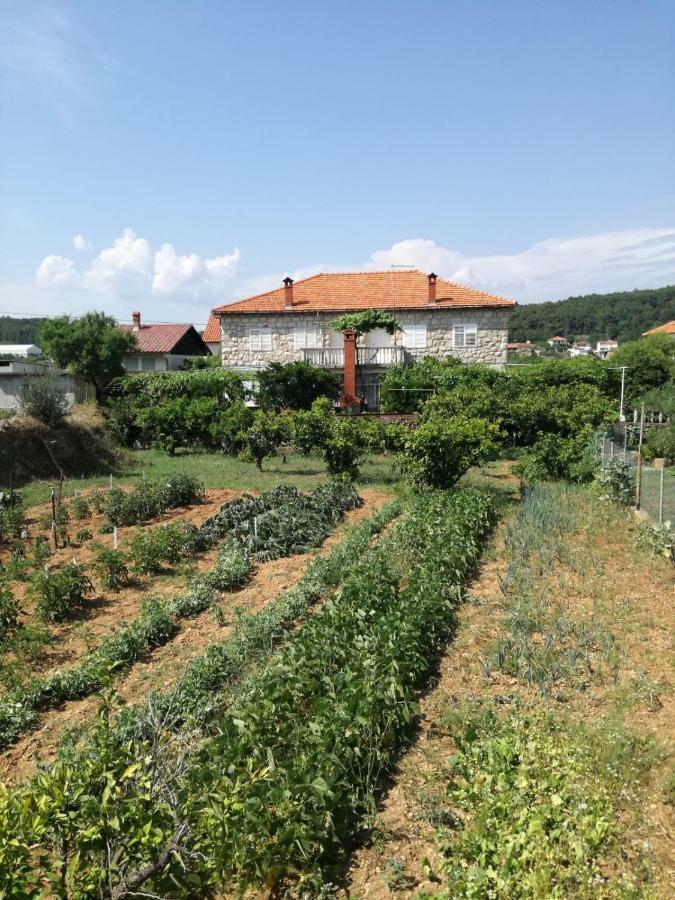 Apartman Stipe Apartment Jelsa  Exterior photo